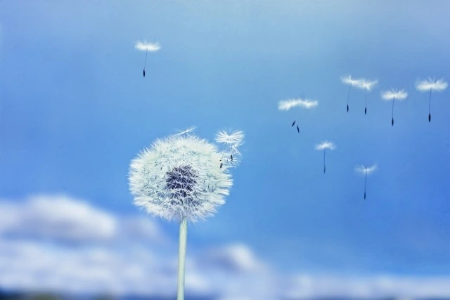 限界を感じたときに手放す3つのこと