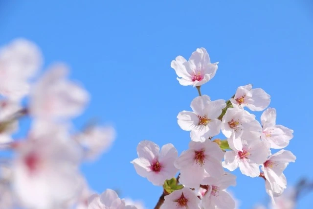 最後に｜不登校の子どもが高校進学への一歩を踏み出すために